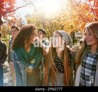 N'oubliez pas ces souvenirs pour toujours. un groupe d'amis adolescents appréciant une journée d'automne ensemble. Banque D'Images