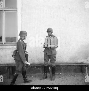 Historique de la Seconde Guerre mondiale, 1940s, photo d'un membre allemand de Wehrmacht en Lettonie (Riga, Pskov et environs). Deux soldats allemands posant.Filter amélioré Banque D'Images