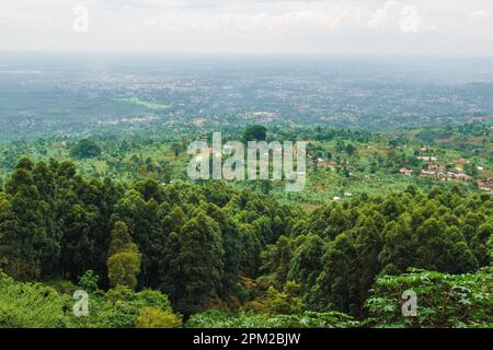 Vue aérienne du paysage africain à Mbale, région du mont Elgon, Ouganda Banque D'Images