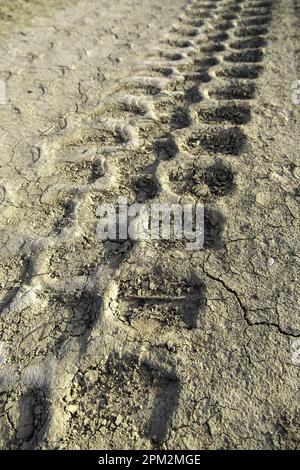 Détail des roues d'un véhicule tout-terrain sur une route de terre et de boue Banque D'Images