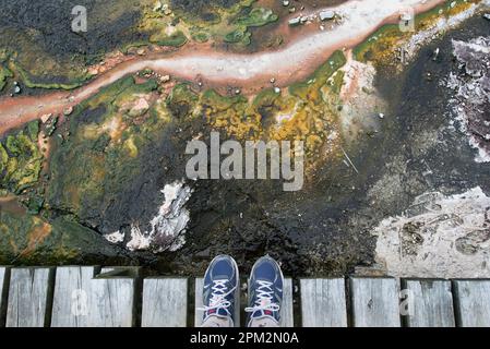 Dépôts minéraux avec pieds sur la passerelle avec dépôts d'algues des sources chaudes (frittage), Emerald Terrace, grotte et parc thermal d'Orakei Korako, Rotorua, Banque D'Images