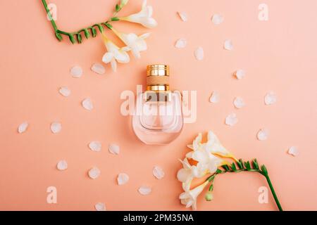 Bouteille de parfum et fleurs de freesia blanches sur fond rose corail. Vue de dessus, plan d'agencement, maquette. Banque D'Images