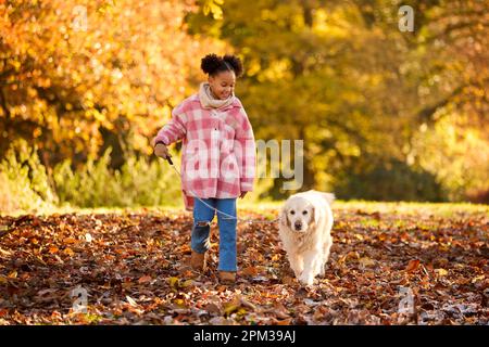 Girl Walking PET Golden Retriever Dog dans la campagne d'automne Banque D'Images
