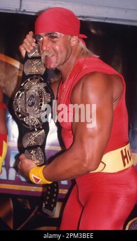 1993 Hulk Hogan Photo de John Barrett/PHOTOlink Banque D'Images