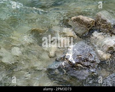 Gros plan de pierres dans la rivière lavée par l'eau Banque D'Images