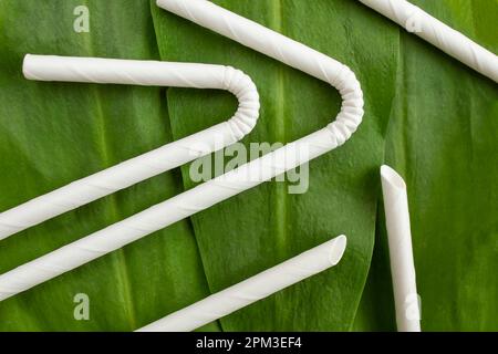 Pailles en papier blanc torsadé disposées sur des feuilles vertes, à plat, en gros plan Banque D'Images