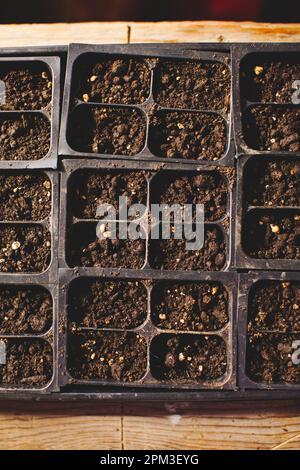 Un gros plan d'un plateau de plateaux d'ensemencement et de pots remplis de semis sains de diverses plantes Banque D'Images