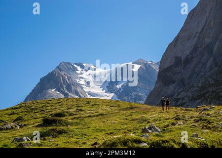 France, Savoie, Pralognan-la-Vanoise, Parc National de la Vanoise, GR55, Sentier du col de la Vanoise (route du sel et de Beaufort), la Grande casse (3855 m) et le glacier des Grands Couloirs en arrière-plan Banque D'Images