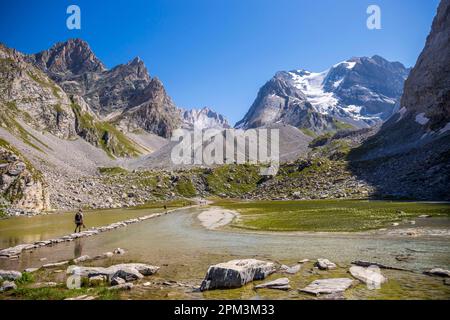 France, Savoie, Pralognan-la-Vanoise, Parc National de la Vanoise, GR55, Sentier du col de la Vanoise (route du sel et de beaufort), les randonneurs traversent le lac des Vaches (2341 m), la Grande casse (3855 m) et le glacier des Grands Couloirs en arrière-plan Banque D'Images