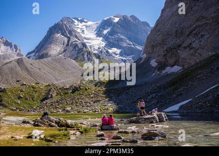 France, Savoie, Pralognan-la-Vanoise, Parc National de la Vanoise, GR55, Sentier du col de la Vanoise (route du sel et de beaufort), lac des Vachs (2341 m), Grande casse (3855 m) et glacier des Grands Couloirs en arrière-plan Banque D'Images