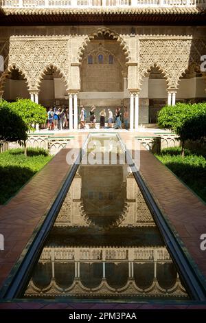 Patio de las Doncellas Real Alcazar de Sevilla. Séville Andalousie Espagne Banque D'Images