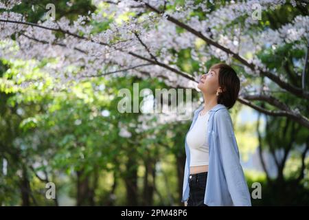 Portrait de côté de belle jeune femme asiatique libre et se détendre sous l'arbre blanc de fleurs de sakura dans le parc de printemps Banque D'Images