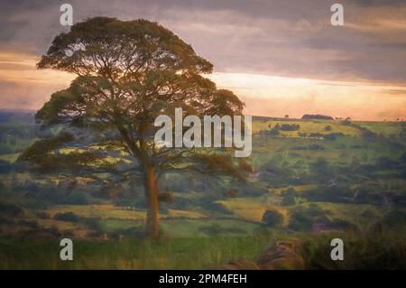 Peinture numérique d'un arbre solitaire au coucher du soleil sur les cafards dans le parc national de Peak District. L'eau du réservoir Tittesworth est visible à travers le Banque D'Images