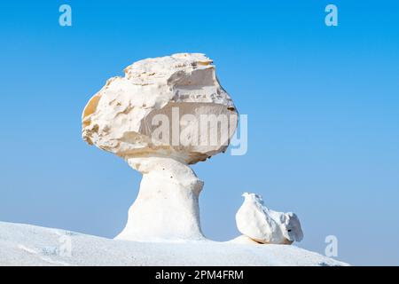 Les affleurements rocheux de craie de champignons et d'oiseaux dans le désert blanc de Bahariya en Égypte Banque D'Images
