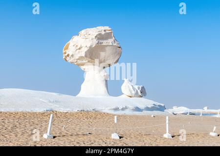 Les affleurements rocheux de craie de champignons et d'oiseaux dans le désert blanc de Bahariya en Égypte Banque D'Images