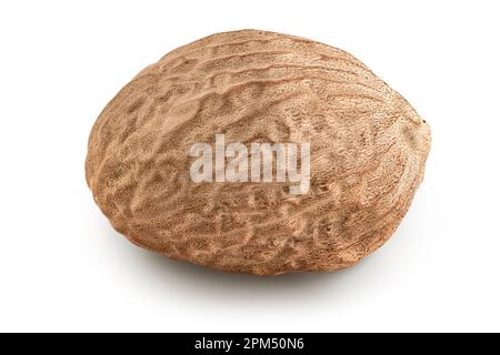 nutmeg isolé sur fond blanc avec une profondeur de champ totale Banque D'Images