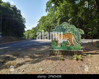 Dandeli, Karnataka, Inde 18th mai 2019 : Un tigre, Panthera tigris, sur le panneau de signalisation de la réserve de tigres de Karnataka. La route traverse une forêt profonde. Banque D'Images