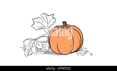 Ensemble de dessin à motif citrouille vectoriel. Objet isolé dessiné à la main avec pièce en tranches et feuilles. Illustration de style gravé sur un légume. Cuisine végétarienne détaillée s Illustration de Vecteur