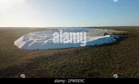 Dunes de sable blanc contre la brousse Banque D'Images