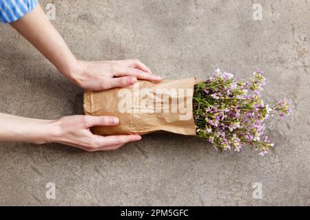 une femme tient des fleurs dans ses mains sur le balcon avant de planter dans des pots Banque D'Images