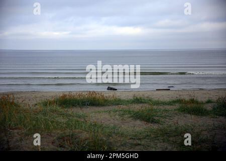 Vue sur la mer Baltique depuis la plage de Pirita, Tallinn Estonie Banque D'Images