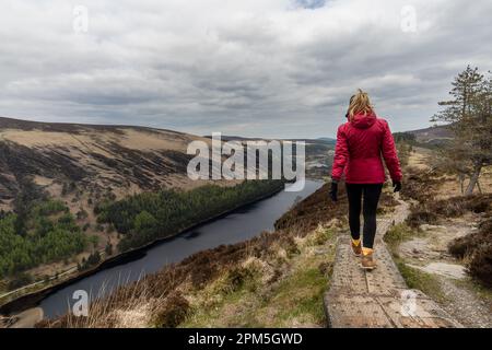 Femme dans le Slink Viewing Spot dans les montagnes de Wicklow Banque D'Images