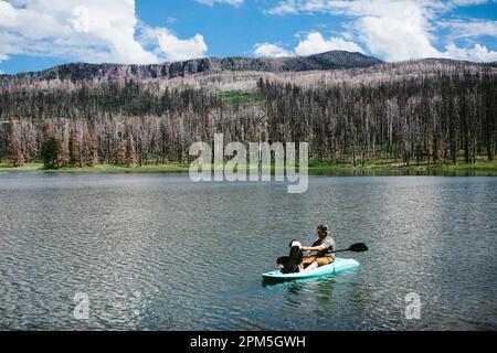 Homme et chien dans un kayak sarcelle sur un lac avec forêt et ciel derrière eux Banque D'Images