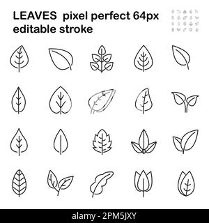 Les icônes de feuilles sont définies en style de ligne. Branches avec feuille. Ligne botanique contemporaine Illustration de Vecteur