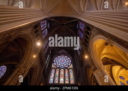 Transept Nord et fenêtre rose, cathédrale de Chartres, France Banque D'Images