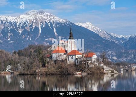 Lac de Bled : Église de la mère de Dieu, et château de Bled, avec des montagnes enneigées en arrière-plan. Slovénie Banque D'Images