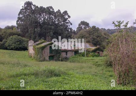 Abandonne la maison en Galice, en Espagne, au milieu de la nature Banque D'Images