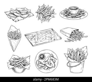 Ensemble d'esquisses de pommes de terre dessinées à la main Illustration de Vecteur