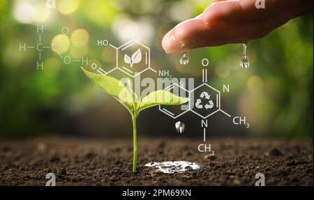 Illustration de formules chimiques et femme versant de l'eau sur une jeune plantule dans le sol sur fond flou, gros plan Banque D'Images
