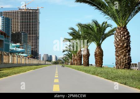 Piste cyclable avec lignes de séparation jaunes peintes sur l'asphalte Banque D'Images