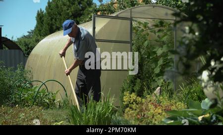 Un homme âgé travaille dans le jardin avec des outils de jardinage. Le pensionné effectue un travail quotidien dans son chalet d'été. Vieux fermier avec un râteau. Banque D'Images