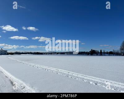 Vaste terrain enneigé avec des pistes de ski de fond sous un ciel bleu vif dans le nord de la Suède Banque D'Images