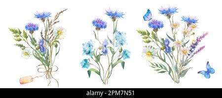 Ensemble de bouquet de fleurs fiées. Illustration botanique aquarelle, bouquet de fleurs sauvages avec de l'herbe de Cornflower bleu et de la camomille et avec des papillons Banque D'Images