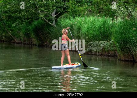 Femme faisant du surf sur le rio Tajo ou le Tage dans le jardin de la Isla Aranjuez Espagne. Le Tage commence son voyage à travers la plaine d'Aran Banque D'Images