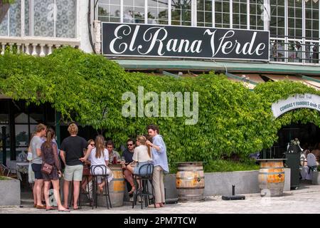 Restaurant El Rana verde sur le rio Tajo ou le Tage dans le jardin de la Isla Aranjuez Espagne. Banque D'Images