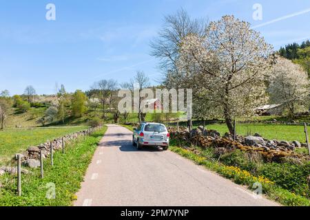 Voiture roulant sur une route de campagne au printemps Banque D'Images