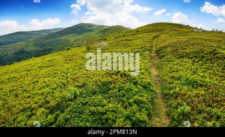 chemin raide en haut de la colline. paysage de montagne de carpathian en été. difficile de réussir concept Banque D'Images