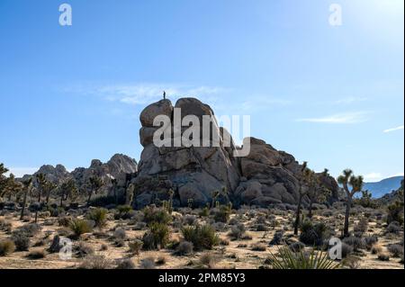 États-Unis, Californie, région de Greater Palm Springs, parc national de Joshua Tree, Hidden Valley nature Trail Banque D'Images