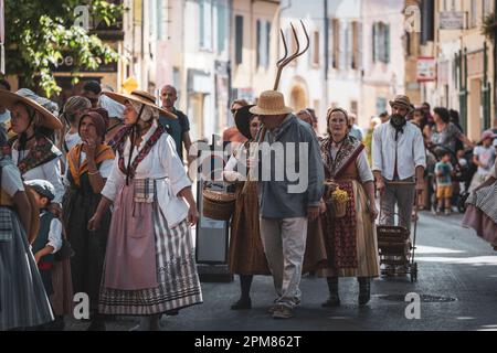 France, Bouches-du-Rhône, Pelissanne, Fête de la transhumance, défilé folklorique en costume provençal traditionnel Banque D'Images