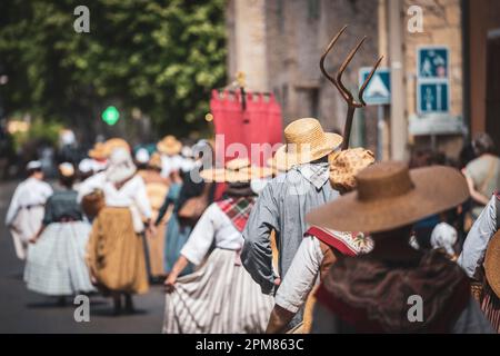 France, Bouches-du-Rhône, Pelissanne, Fête de la transhumance, défilé folklorique en costume provençal traditionnel Banque D'Images