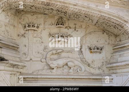 France, Loir-et-cher, vallée de la Loire classée au patrimoine mondial de l'UNESCO, Blois, cette décoration sculptée se trouve au pied de l'escalier monumental de l'aile François I. Elle comporte tous les symboles royaux : la salamandre surmontée d'une couronne, un "F" pour François et un "C" pour sa femme, Claude de France, fille de Louis XII et d'Anne de Bretagne Banque D'Images