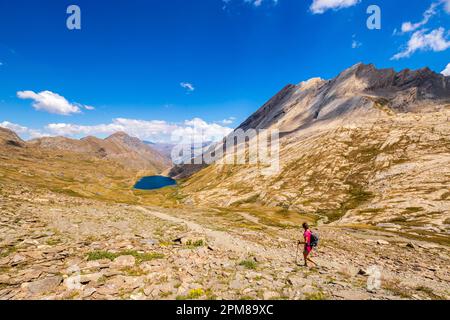 France, Hautes-Alpes, Parc naturel régional du Queyras, Abriès, randonnée sur le GR58 Tour du Queyras vers le Lac Foréant (2618 m) depuis le Col Vieux (2806 m), à droite la crête de la Taillante ( 3196m) Banque D'Images