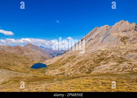 France, Hautes-Alpes, parc naturel régional de Queyras, Abriès, Lac forestier (2618 m) et crête de la Taillante (3196 m) vu du Col Vieux (2806 m) sur le Tour du Queyras de GR58 Banque D'Images