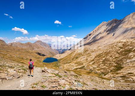 France, Hautes-Alpes, Parc naturel régional du Queyras, Abriès, randonnée sur le GR58 Tour du Queyras vers le Lac Foréant (2618 m) depuis le Col Vieux (2806 m), à droite la crête de la Taillante ( 3196m) Banque D'Images