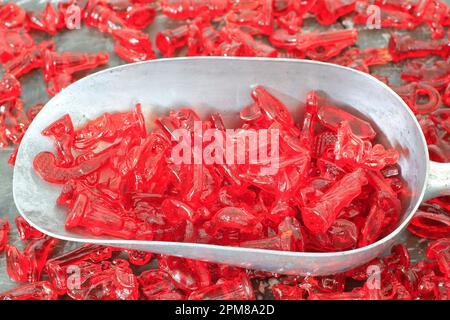 France, Ardennes, Bogny sur Meuse, Maison Simon, Ardennes atelier de production de sucre rouge (bonbons rouges traditionnels fabriqués pour Saint Nicolas et fêtes de Noël) Banque D'Images