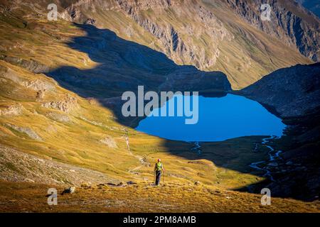 France, Hautes-Alpes, Parc naturel régional du Queyras, Abriès, randonnée sur le GR58 Tour du Queyras vers le Lac Foréant (2618 m) du Col Vieux (2806 m) Banque D'Images